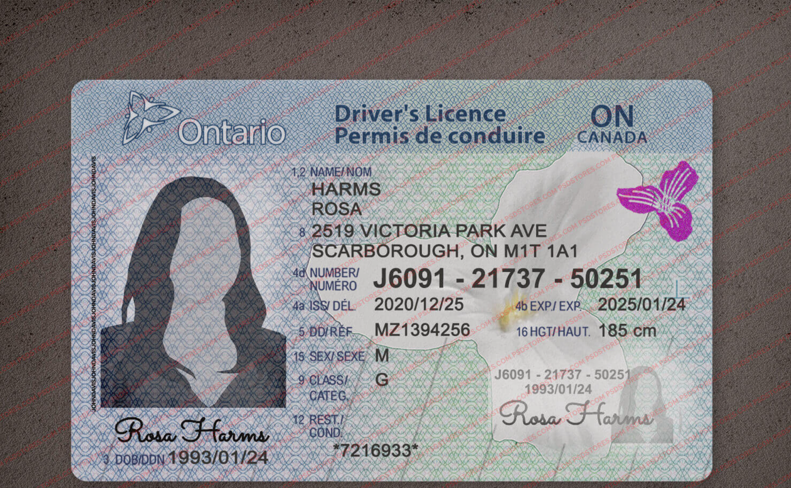 Ontario-Driver-License